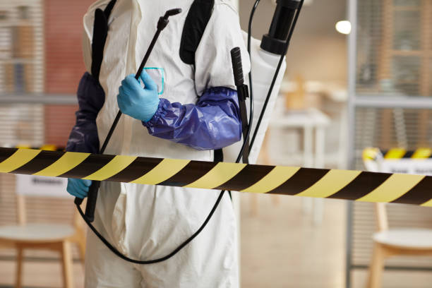 Professional Hoarding Cleanup technician working in Alamo, IN